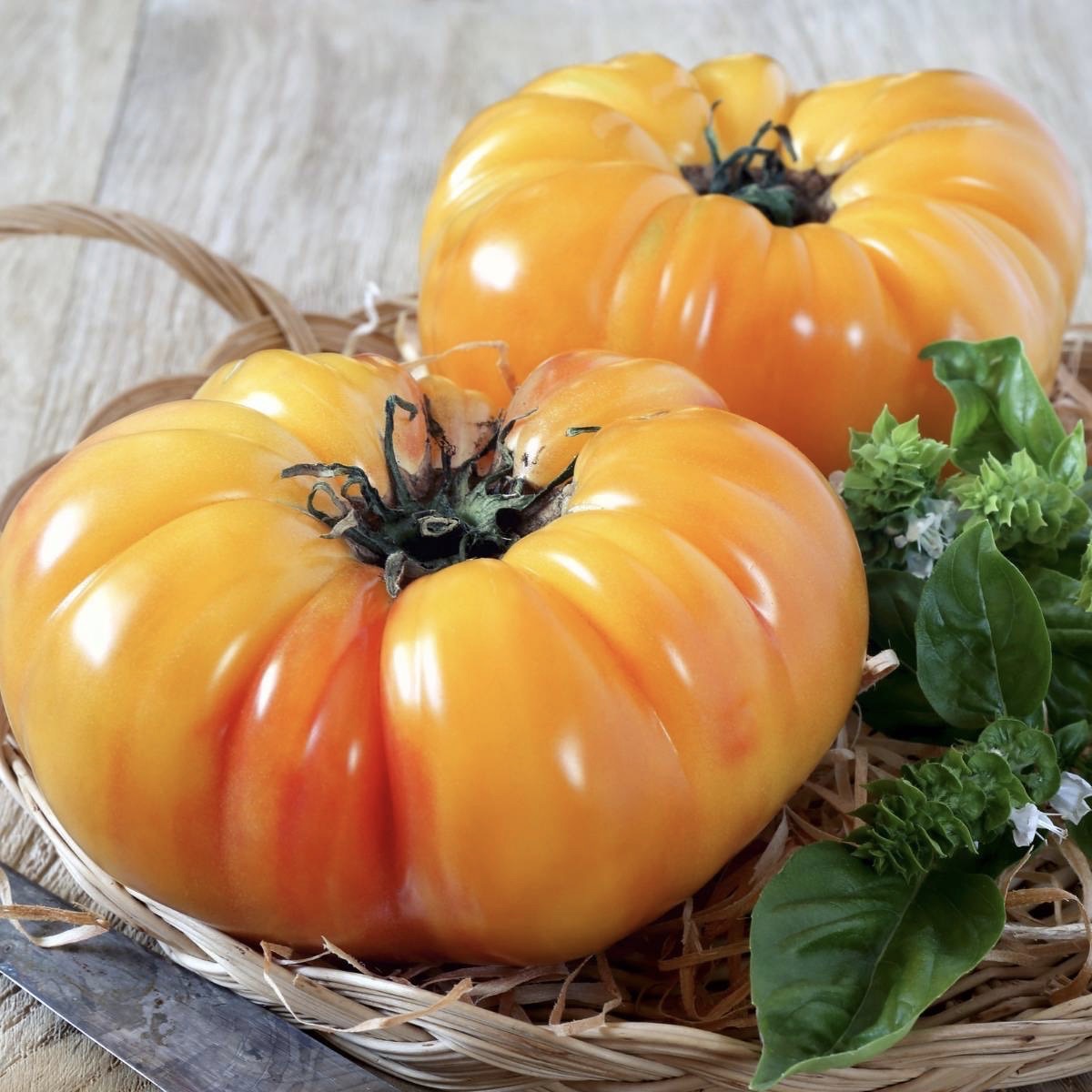 Pineapple Tomato | Spain | 3kg