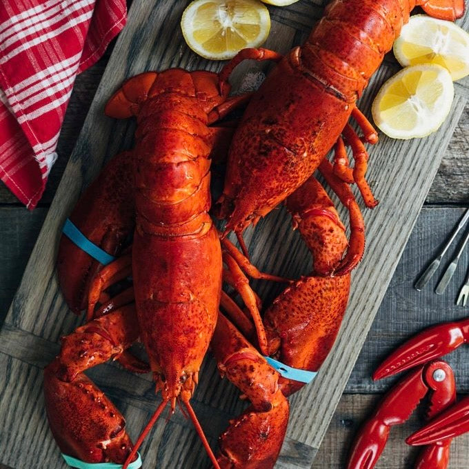 Boston Lobster Whole Cooked | Frozen | +/-400g