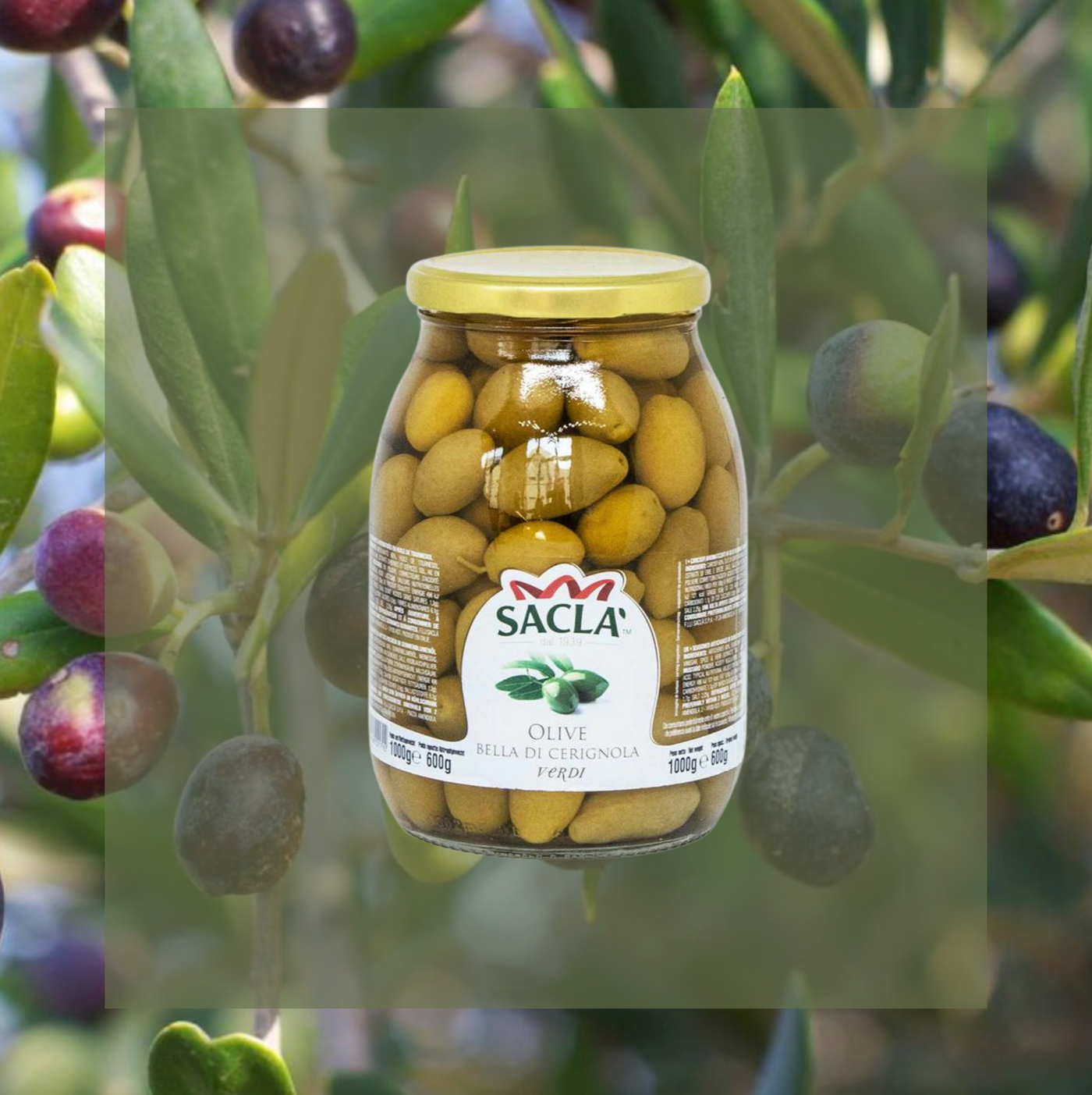 Bella di Cerignola Olives | 1kg