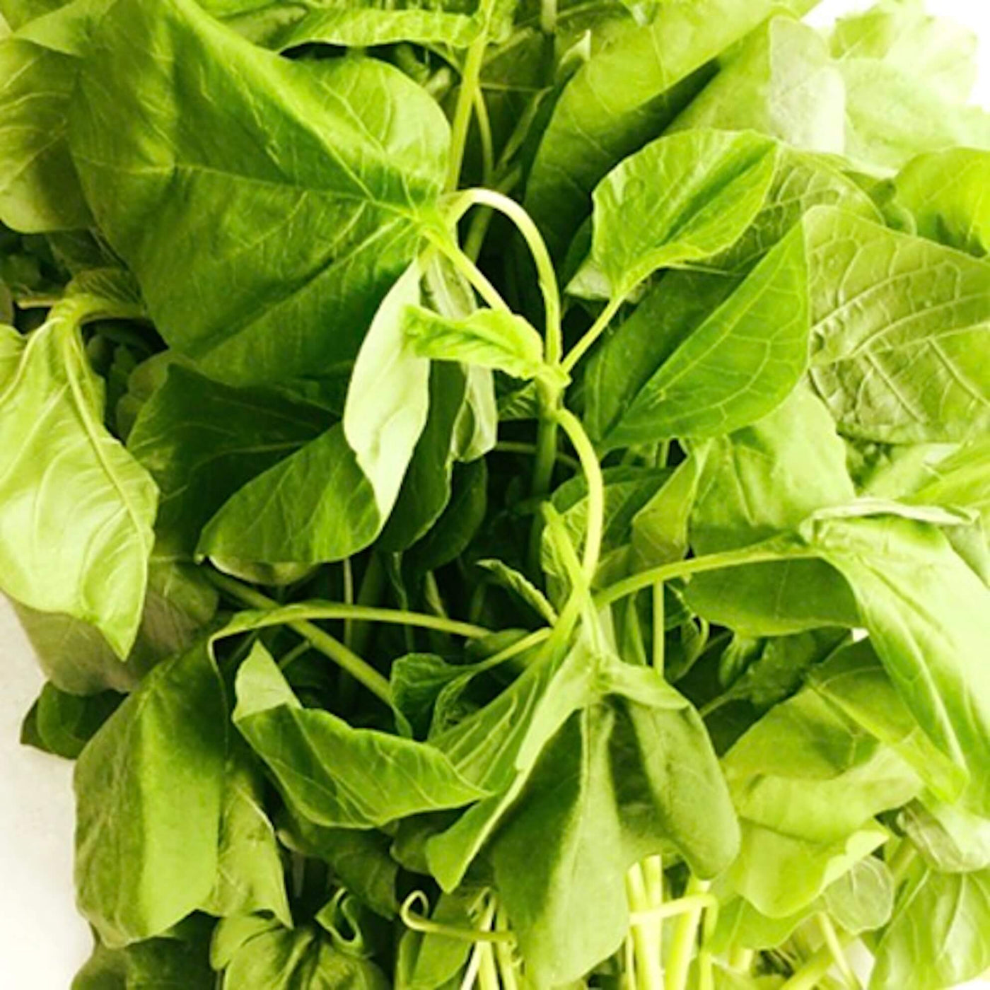 local-spinach-heng-cai-online-grocery-delivery-singapore-supermarket-thenewgrocer
