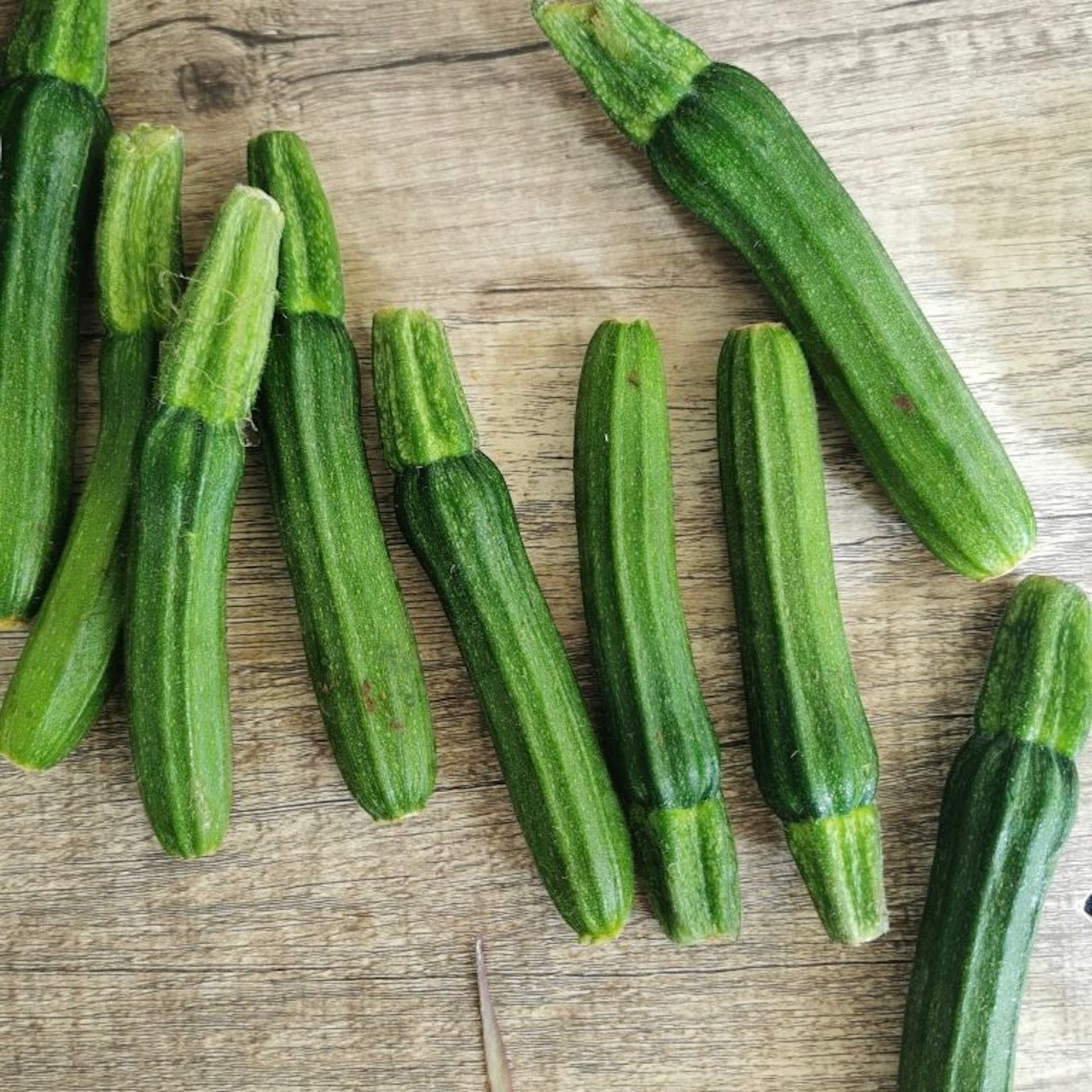 Baby Zucchini | South Africa | 200g
