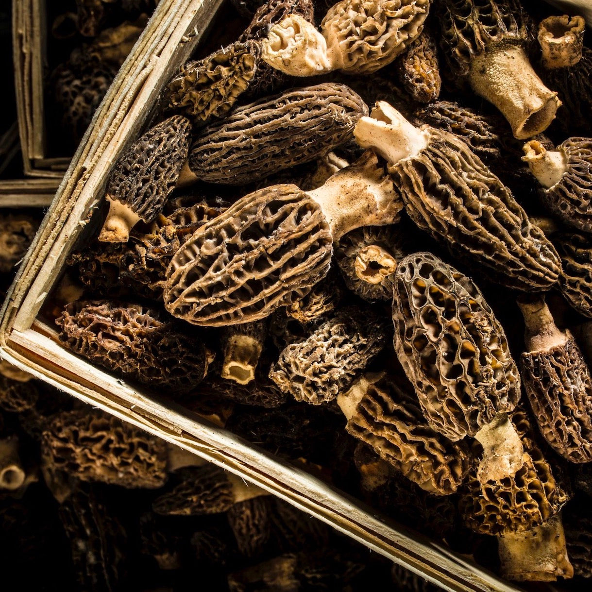 dried-morel-online-grocery-delivery-singapore-thenewgrocer