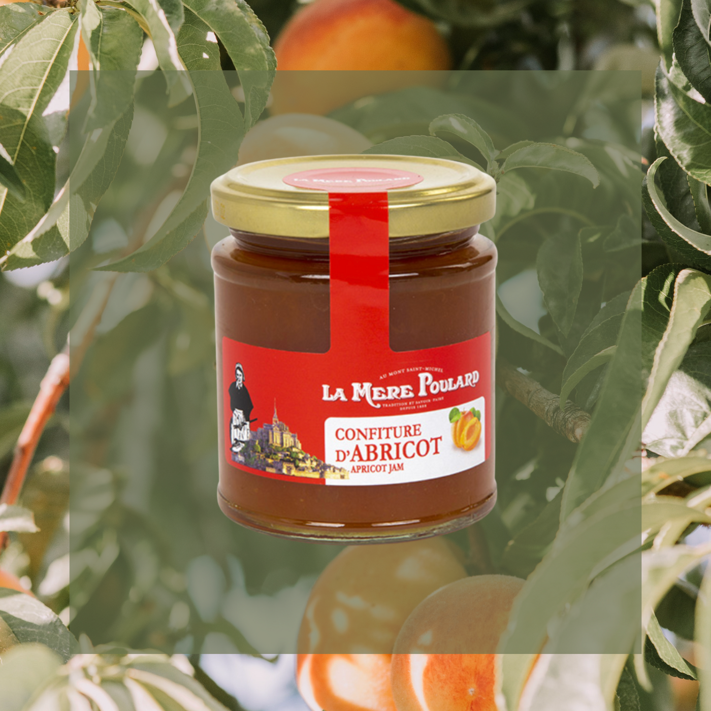 Apricot Jam | La Mere Poulard | 220g