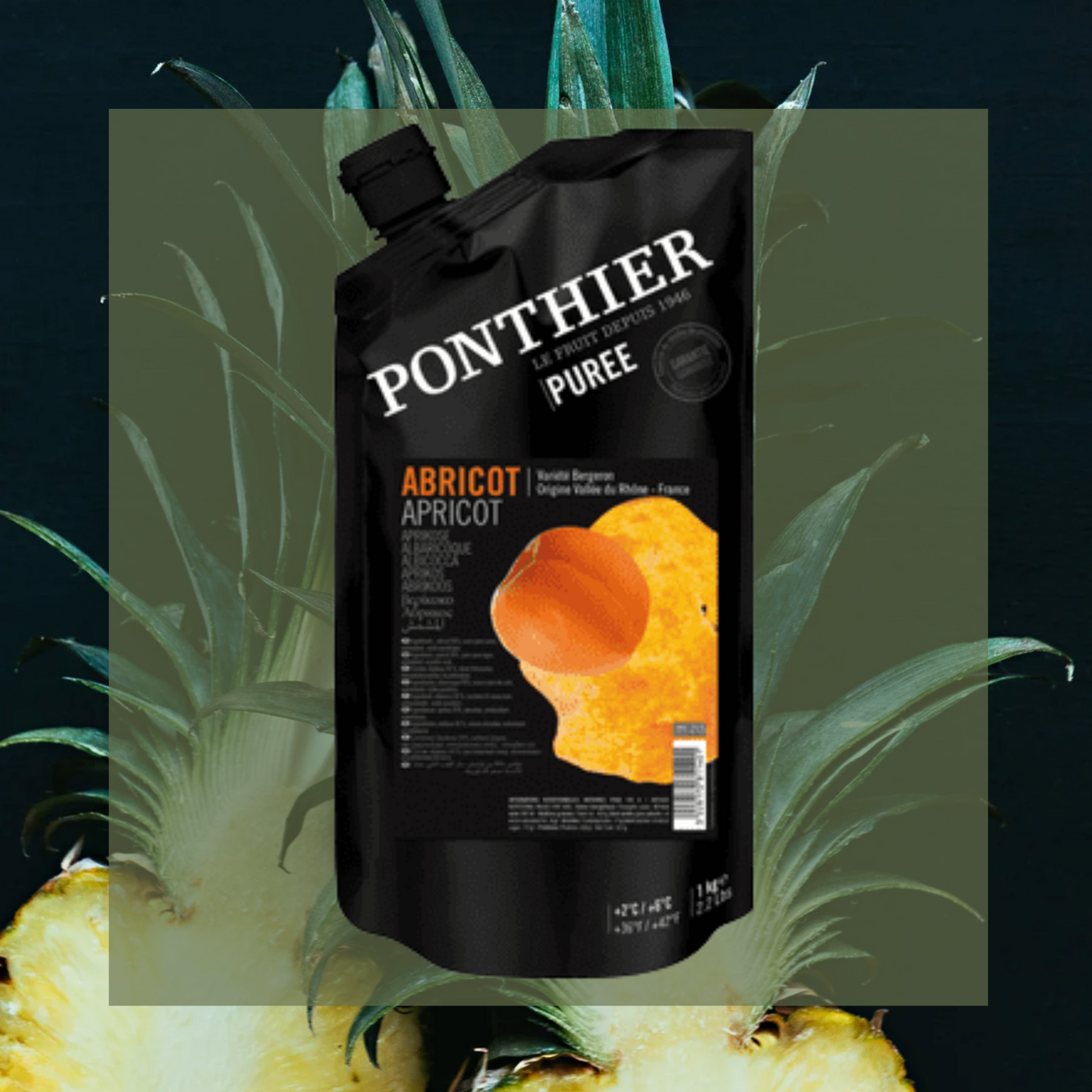 Ponthier Fruit Puree | 1L