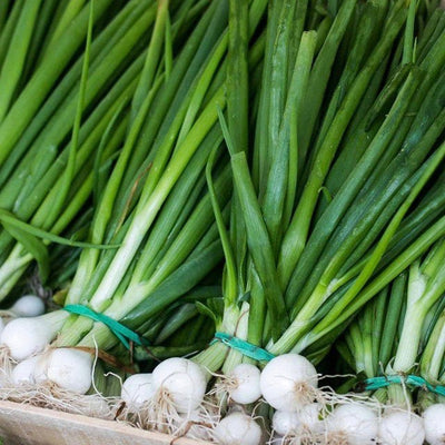 spring-onion-grocery-delivery-singapore-supermarket-thenewgrocer