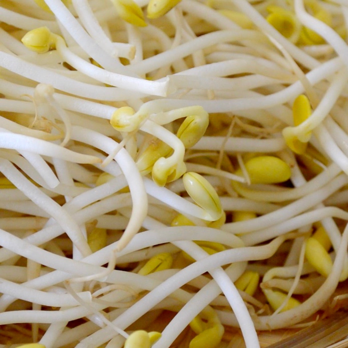 bean-sprout-online-grocery-delivery-supermarket-singapore-thenewgrocer