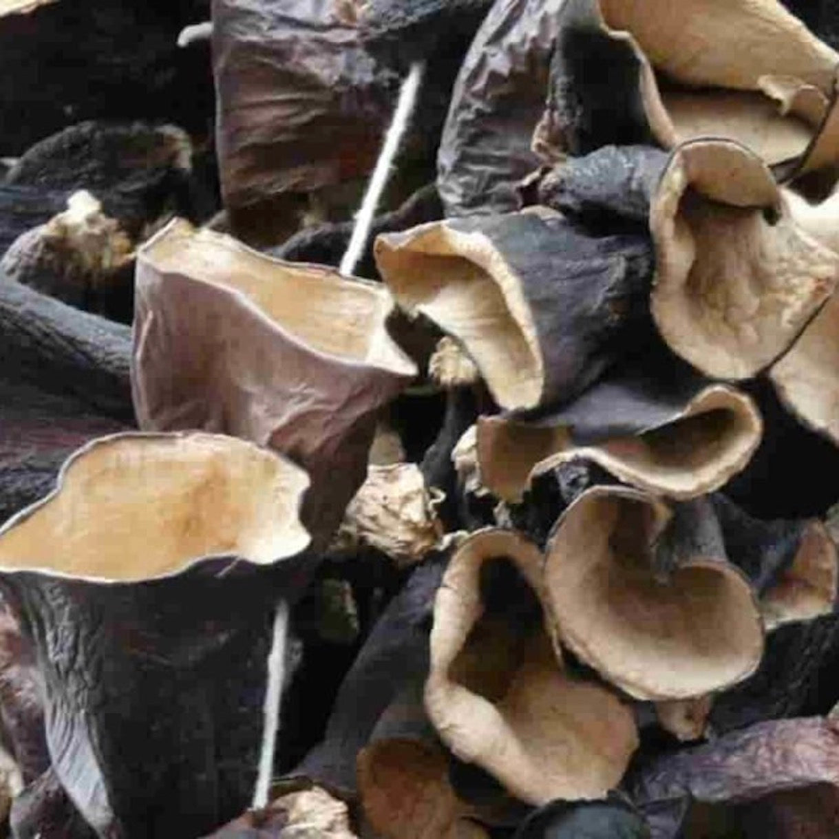 Mushroom Black Fungus | 1kg