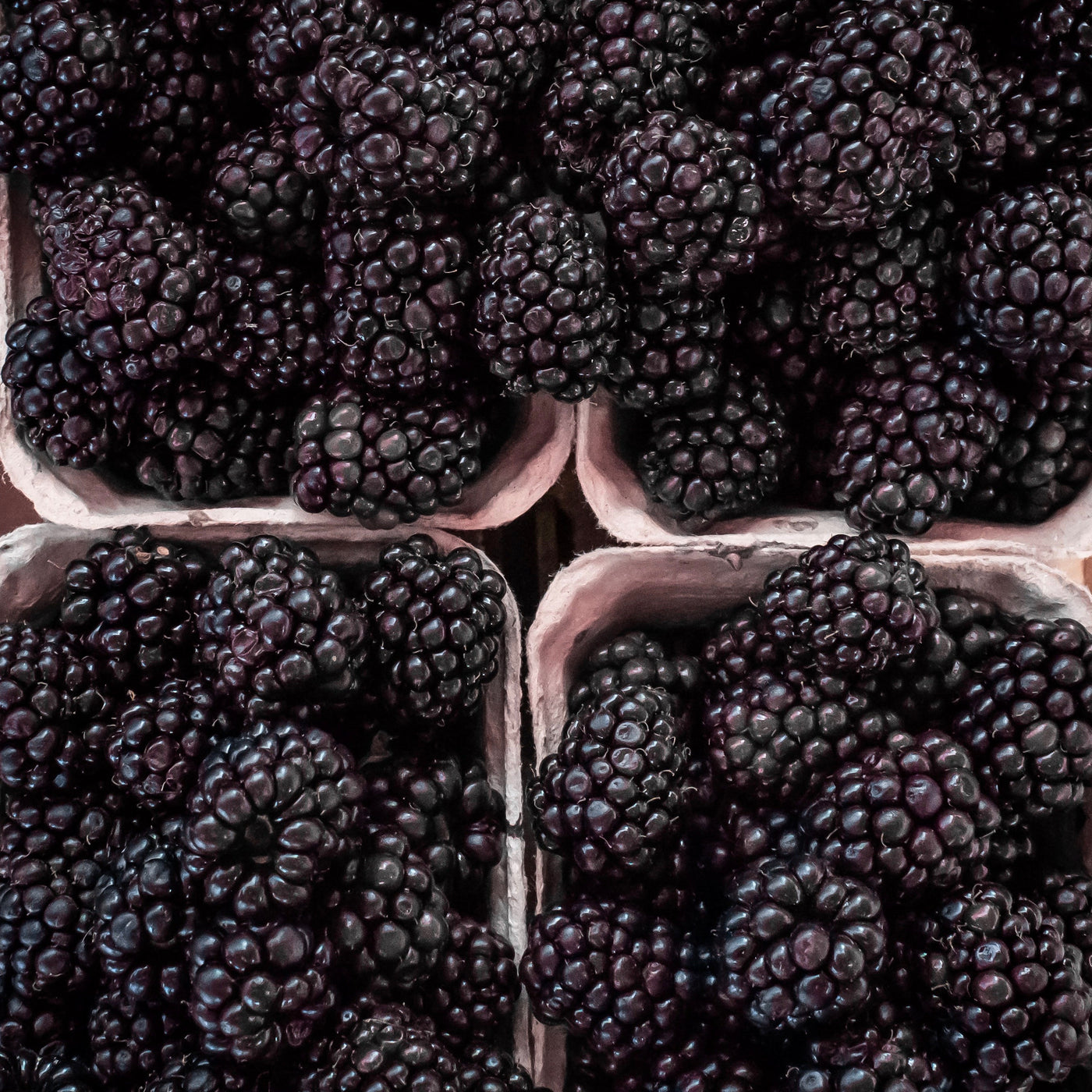 Shop Blackberries online in Singapore - The New Grocer