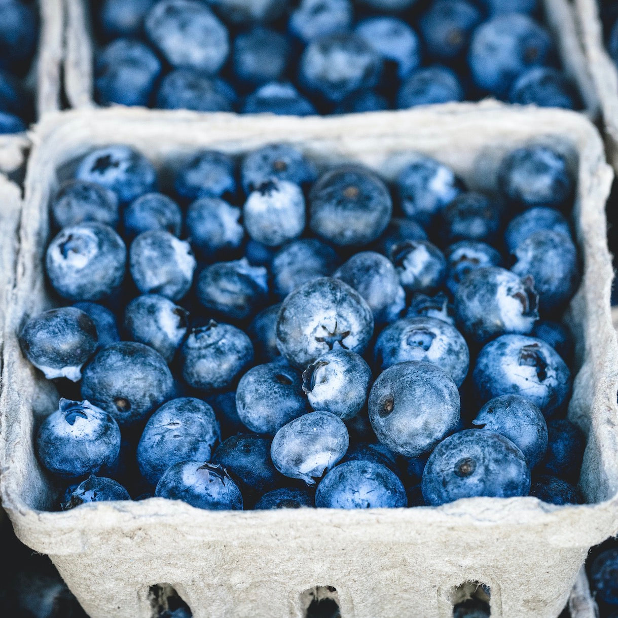 blueberries-online-grocery-supermarket-thenewgrocer-singapore-delivery