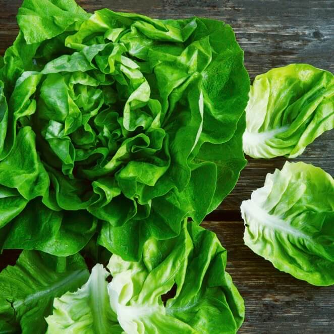 lettuce-butterhead-online-grocery-supermarket-delivery-singapore-thenewgrocer