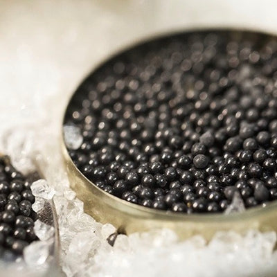 Shop Caviar in Singapore - The New Grocer