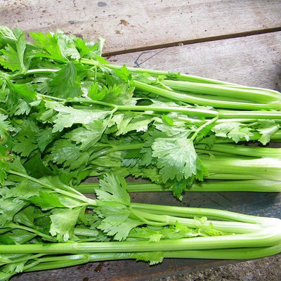 aus-celery-vegetable-online-grocery-supermarket-delivery-singapore-thenewgrocer