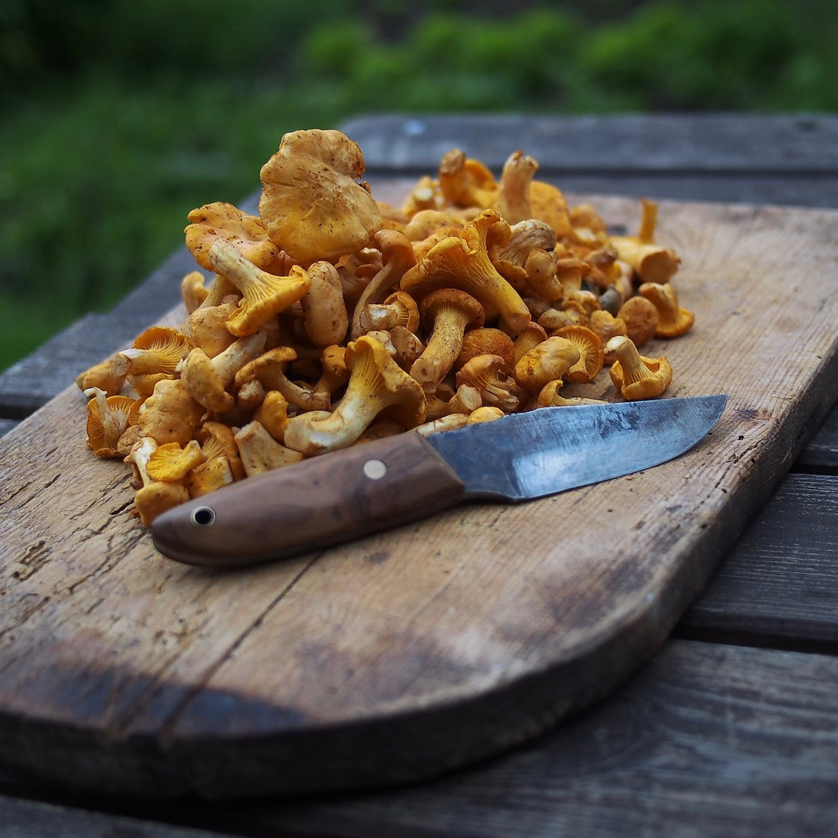 Shop Chanterelle mushrooms in singapore the new grocer