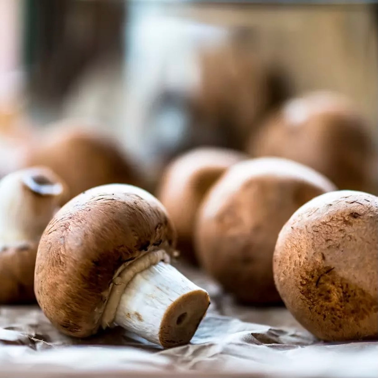 Mushroom Swiss Brown | 1kg