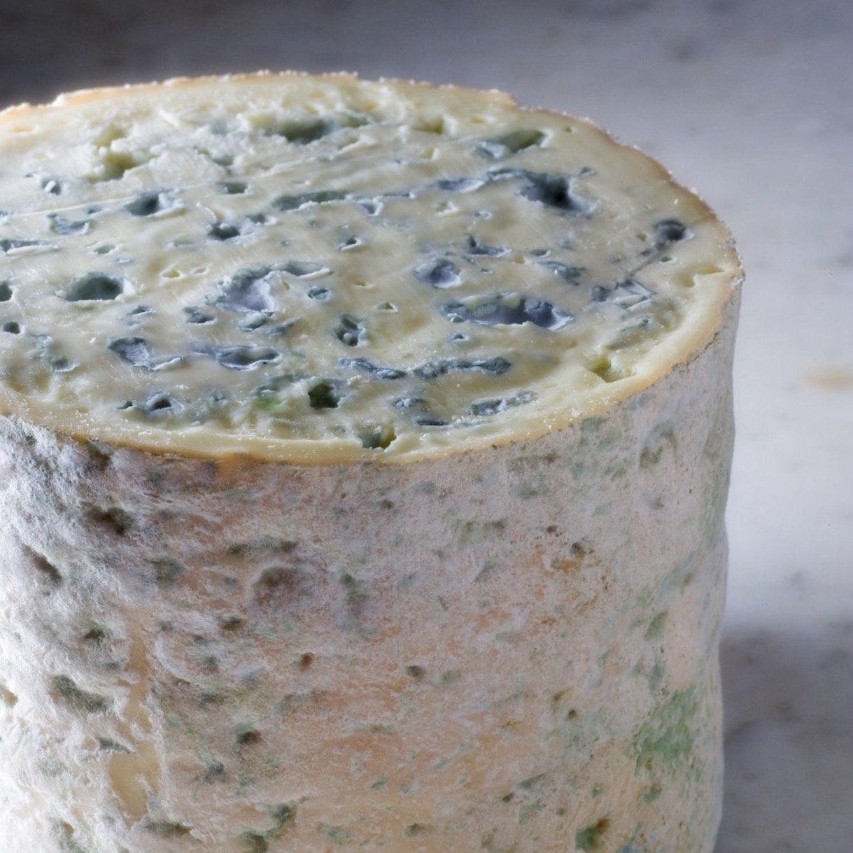 Shop Fourme d'Ambert Cheese in Singapore - The New Grocer