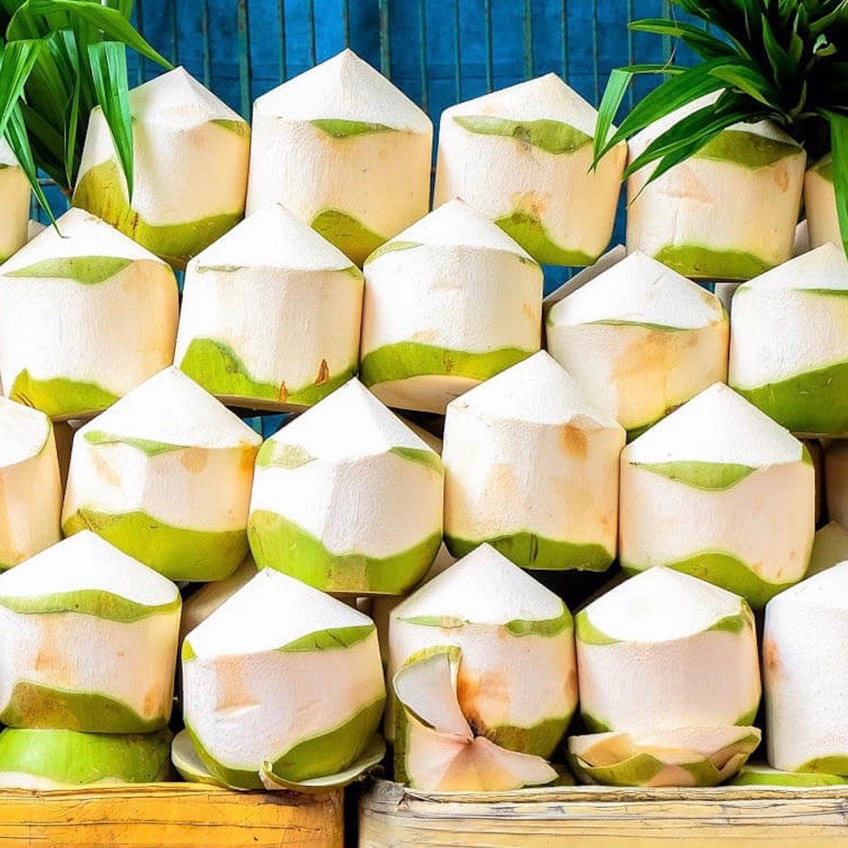 fresh-coconut-online-delivery-grocery-supermarket-singapore-thenewgrocer