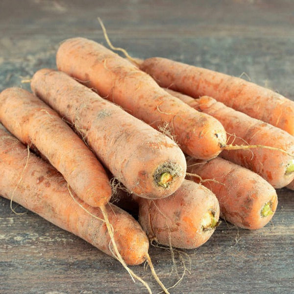 Sandy Carrot | France | 5kg