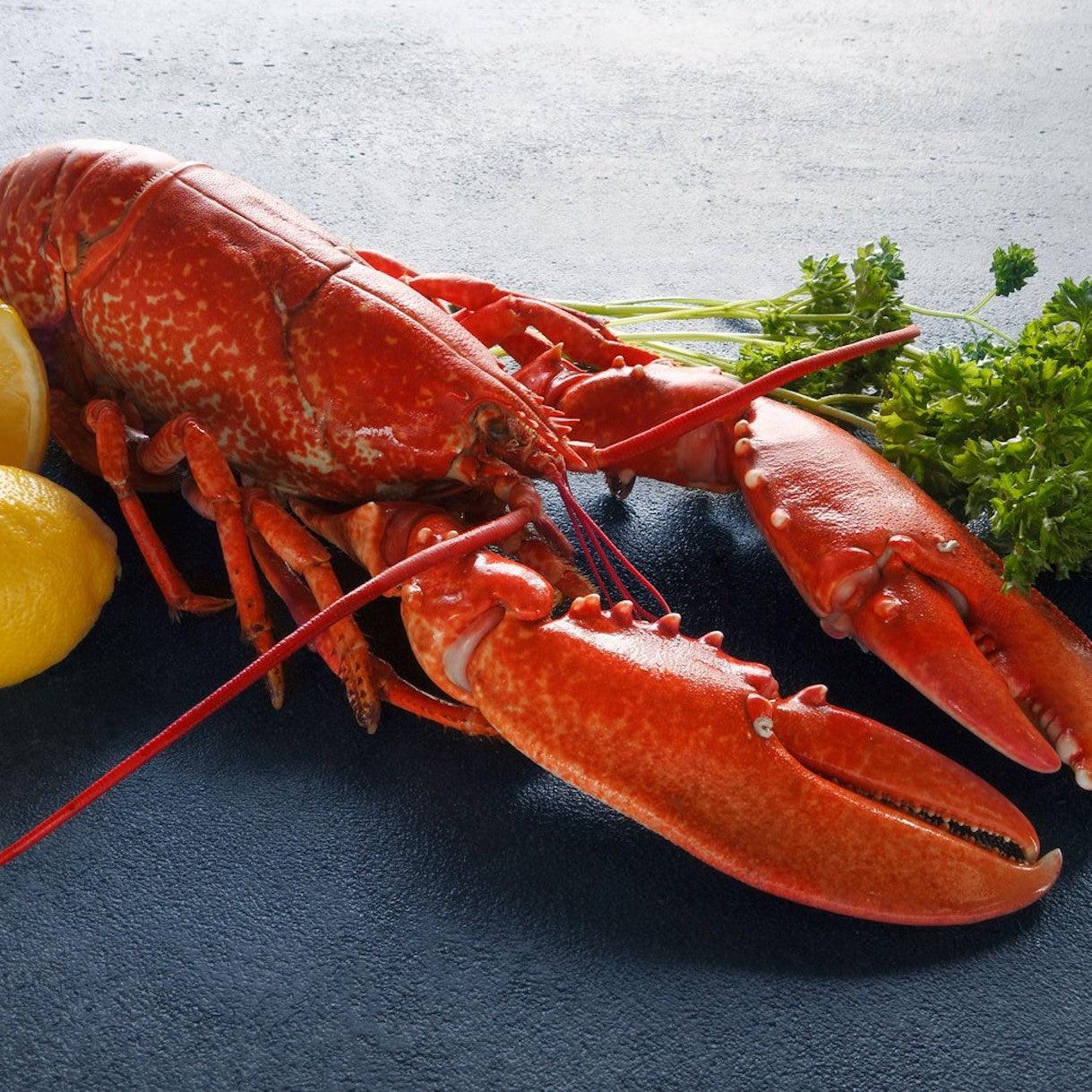 Boston Lobster Whole Cooked | Frozen | +/-400g