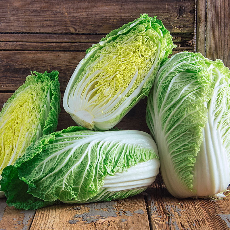 chinese-cabbage-online-grocery-supermarket-delivery-singapore-thenewgrocer