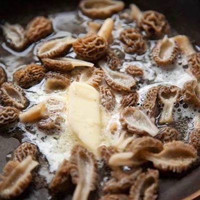 dried-morel-online-grocery-delivery-singapore-thenewgrocer
