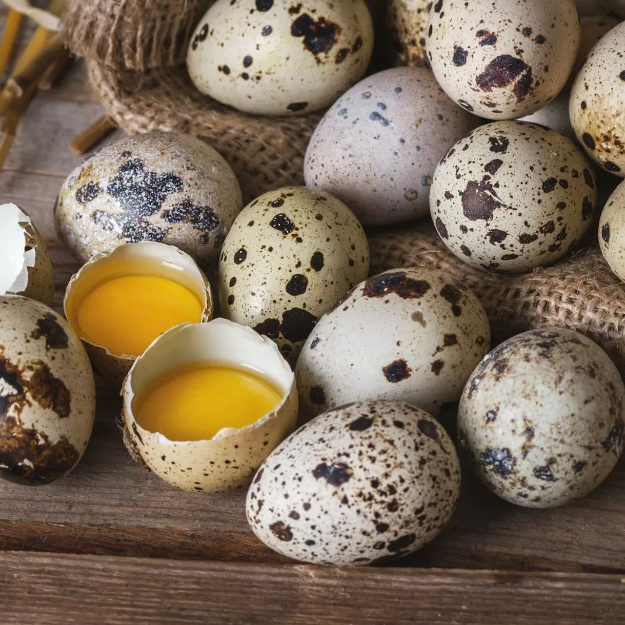 Eggs Quail | x15