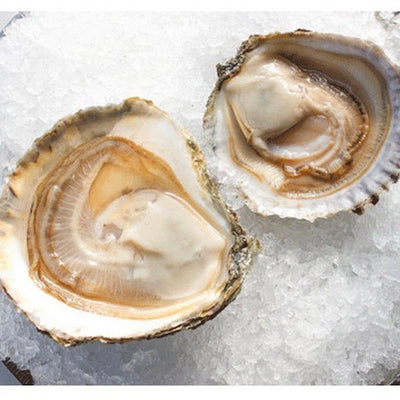 oysters-belon-online-grocery-supermarket-singapore-delivery-thenewgrocer