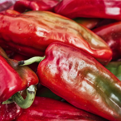Shop Piquillo Pepper in Singapore - The New Grocer