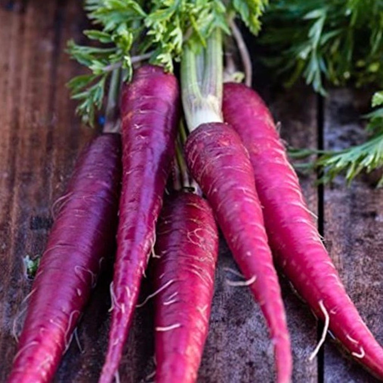 Purple Carrot | 1kg