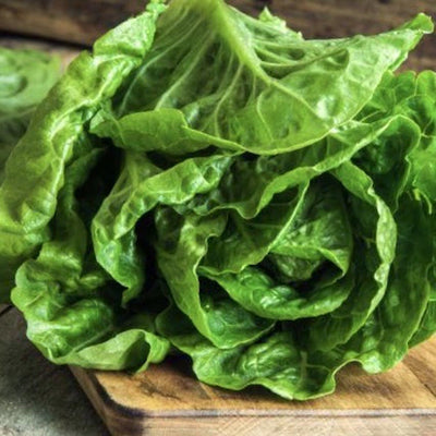 romaine-lettuce-online-grocery-supermarket-delivery-singapore-thenewgrocer