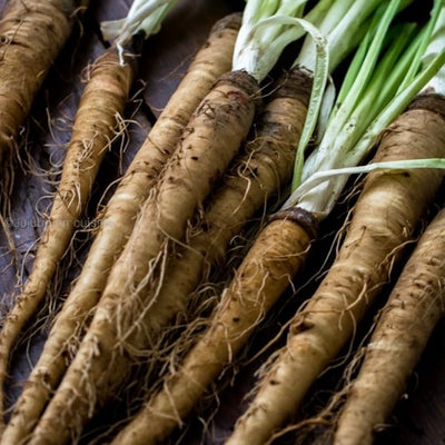 Salsify | France | 5kg