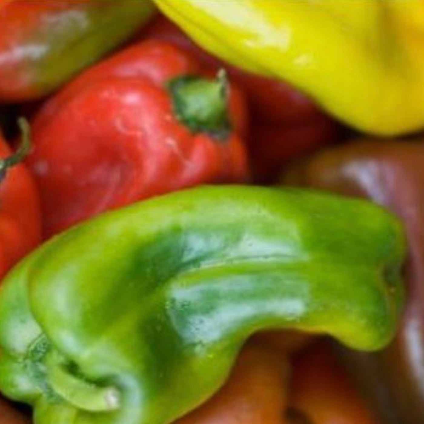 the-ugly-pepper-palermo-online-grocery-supermarket-delivery-singapore-thenewgrocer