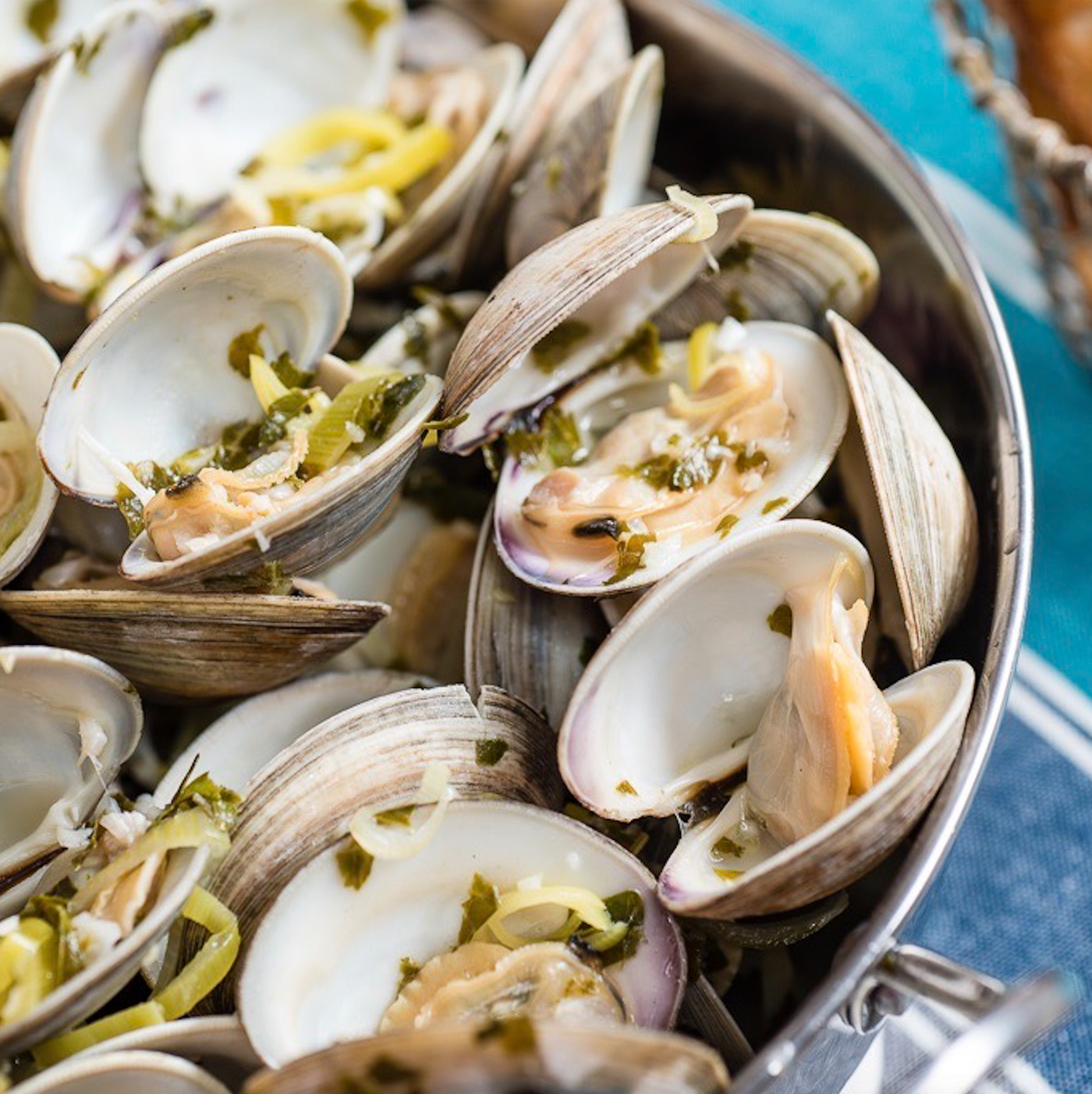 white-clam-raw-online-grocery-delivery-singapore-thenewgrocer
