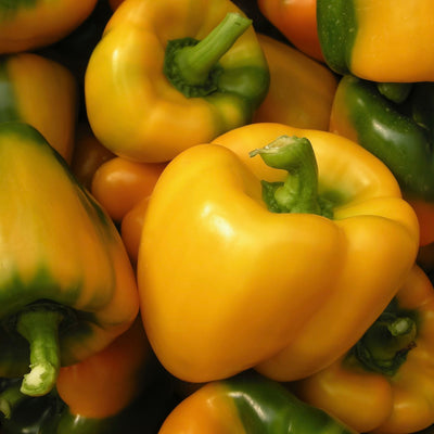 yellow-capsicum-online-grocery-supermarket-delivery-singapore-thenewgrocer